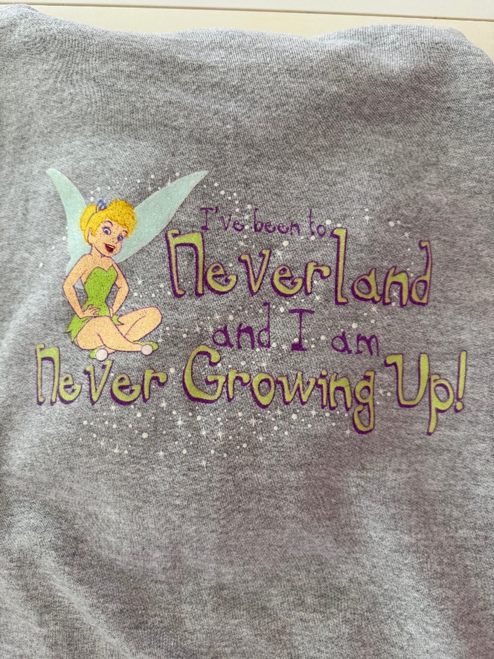 Disneyland Resort Y2K Tinkerbell Hoodie Heather Gray, Size M